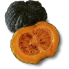 Zapallo Cabutia