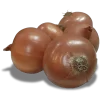 Cebolla Seleccionada