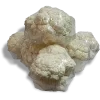 Coliflor x  Bandeja
