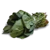 Espinaca x Atado