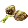 Alcaucil x Cabeza