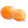 Mandarina W. Murcott