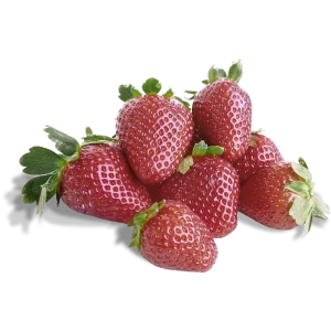 Frutilla Premium a granel